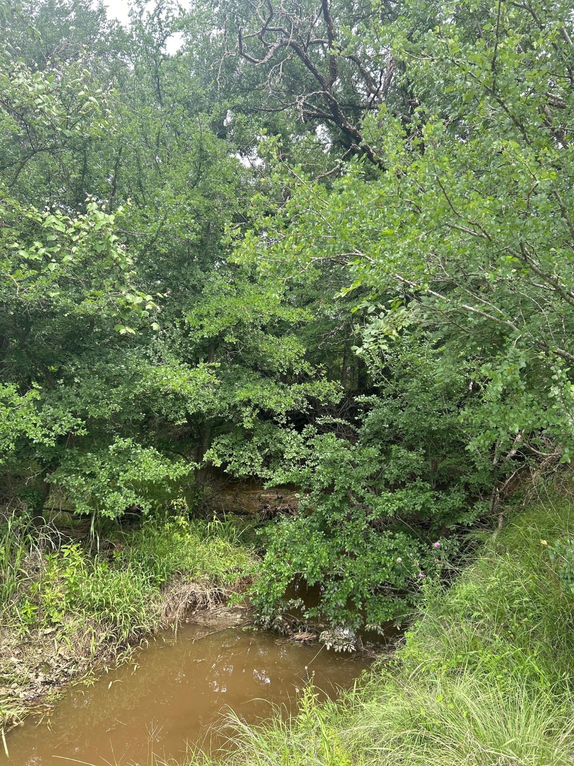 Tbd Round Up Court Stephenville TX 76401