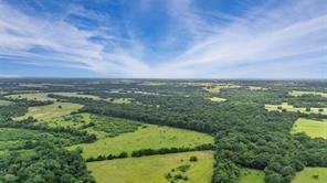 493.52 Ac Rs County Road 4515 Point TX 75472