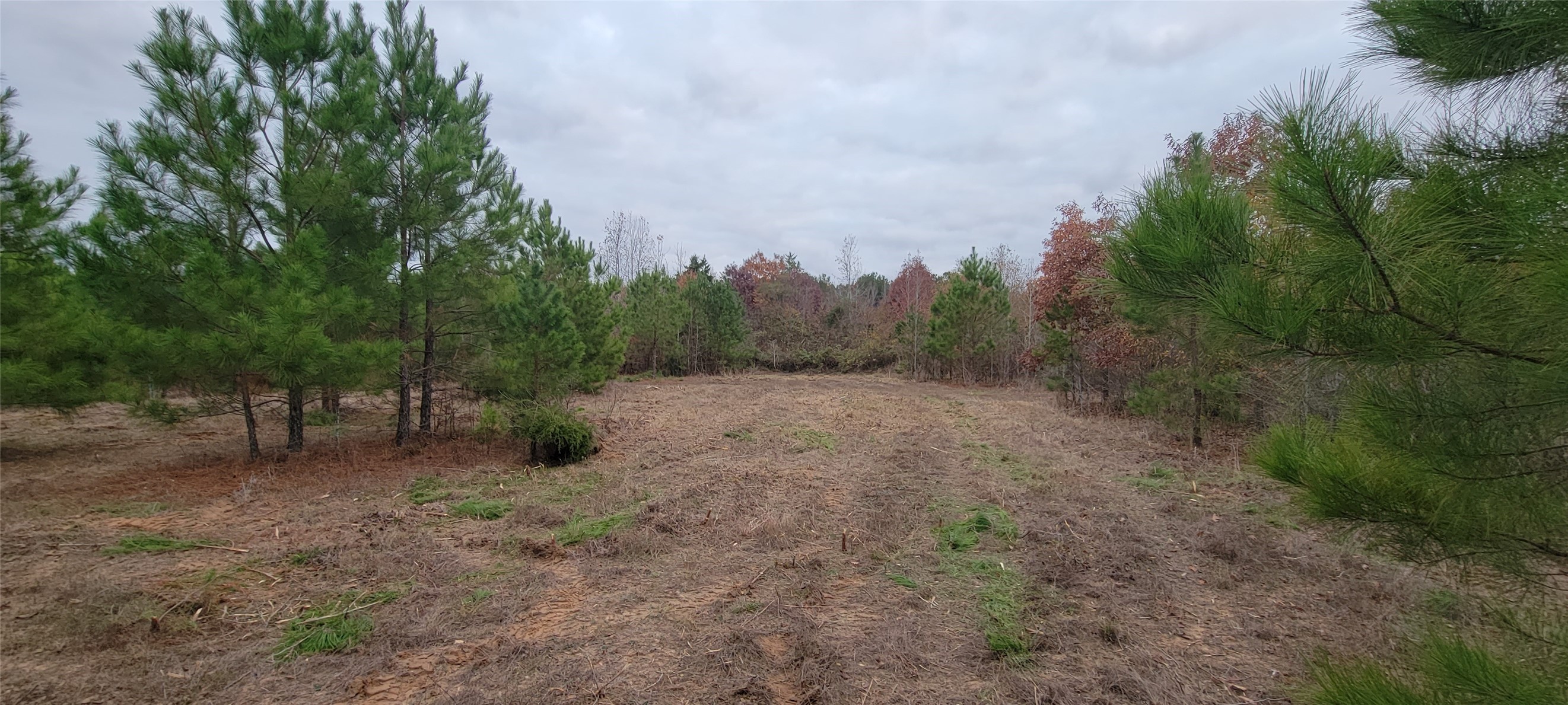 0 Jewell Gooch Road Marshall TX 75670