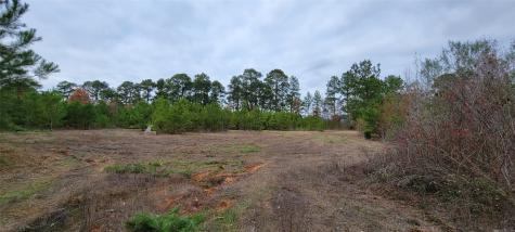0 Jewell Gooch Road Marshall TX 75670