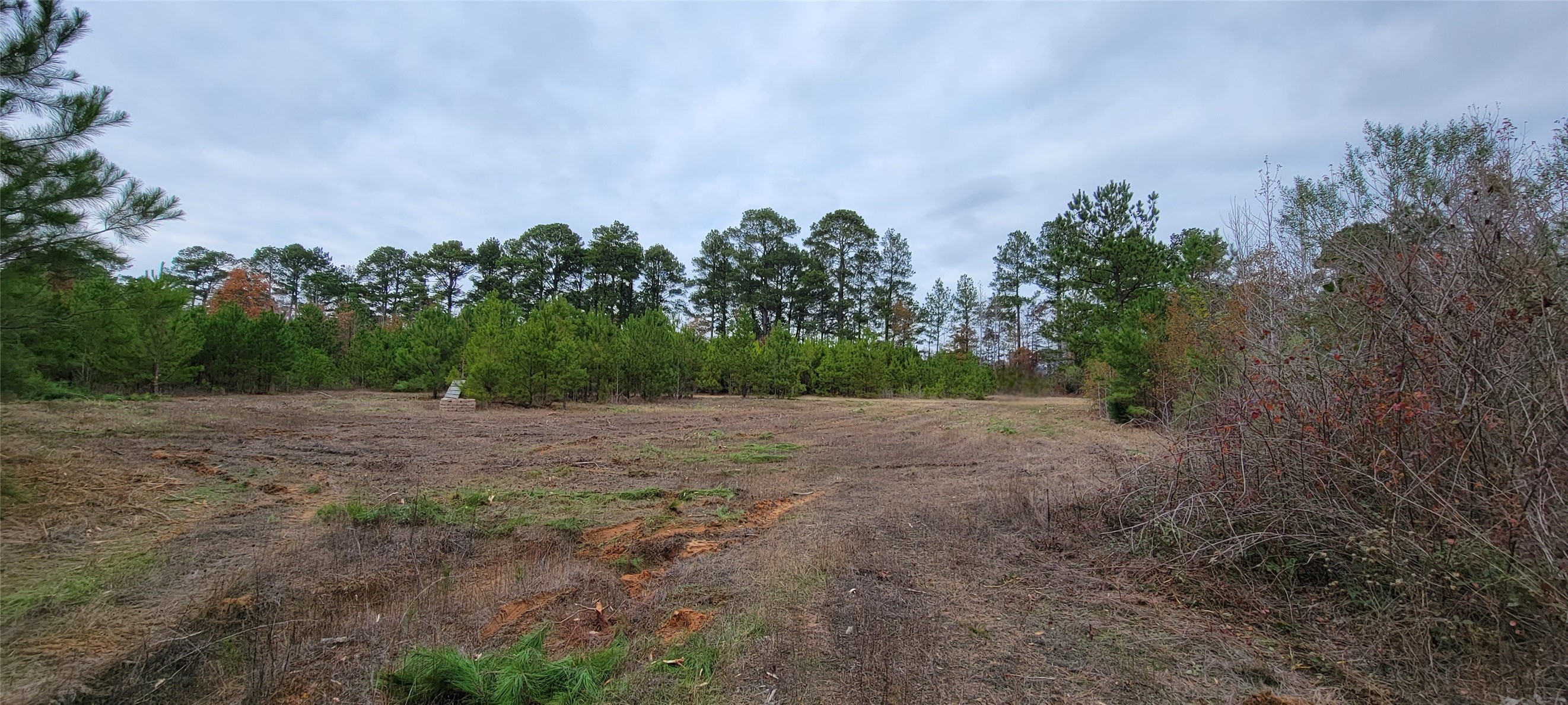 0 Jewell Gooch Road Marshall TX 75670