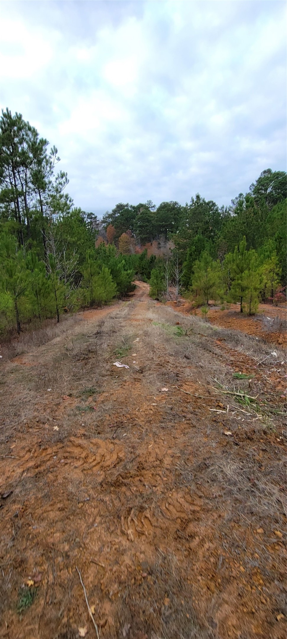 0 Jewell Gooch Road Marshall TX 75670