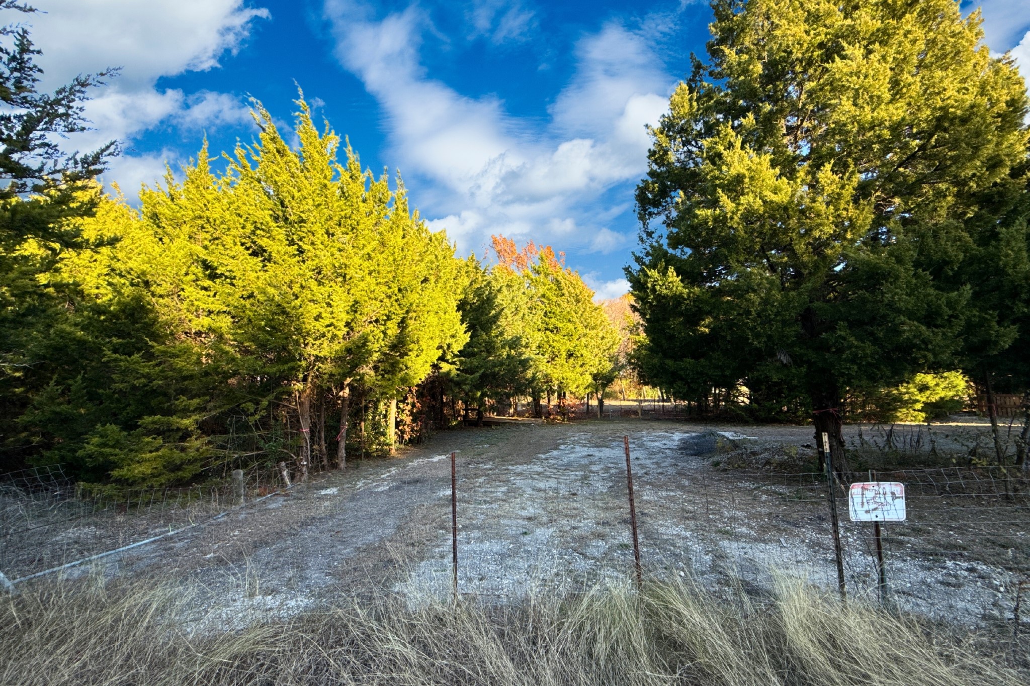 Tbd County Road 919 Nevada TX 75173
