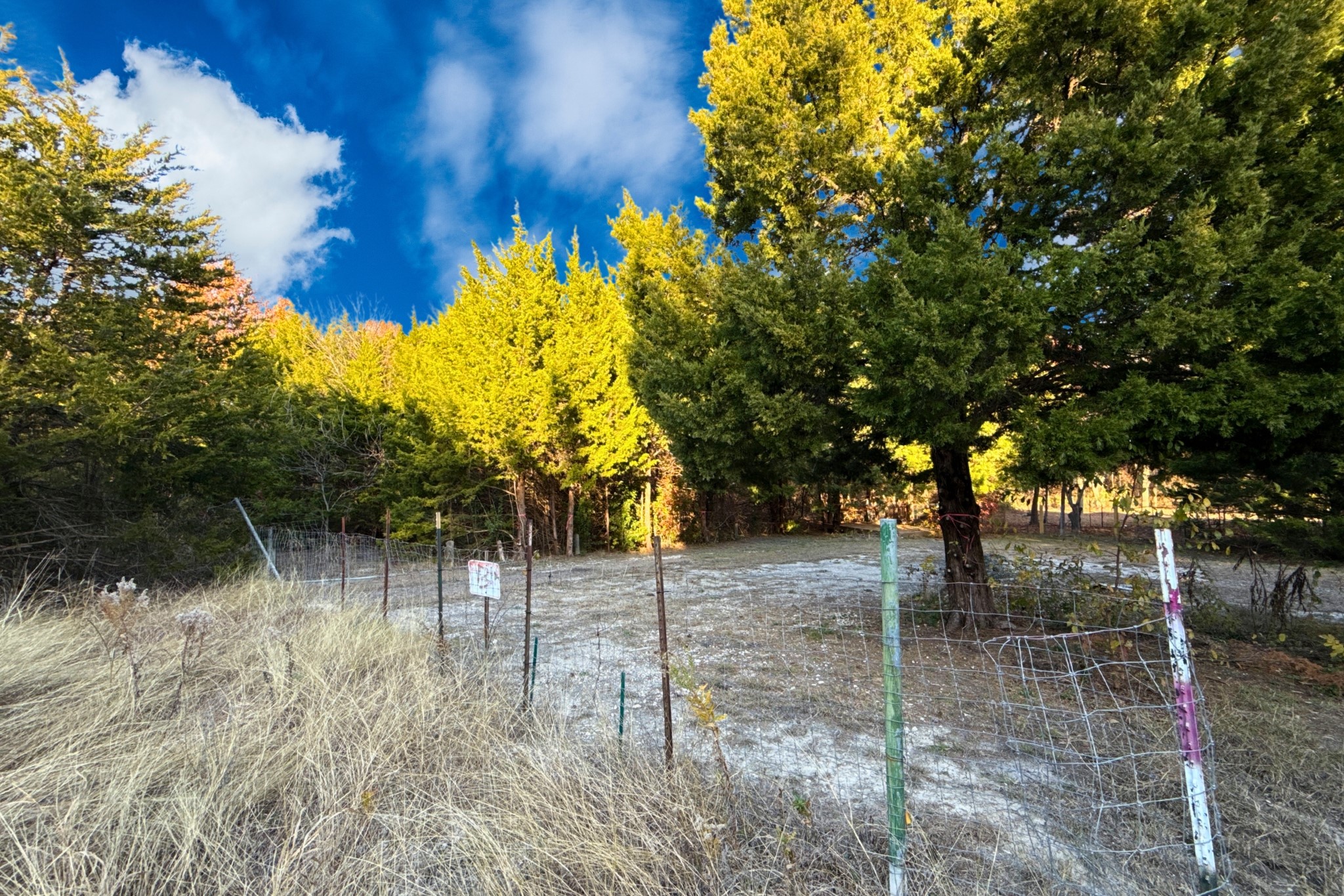 Tbd County Road 919 Nevada TX 75173