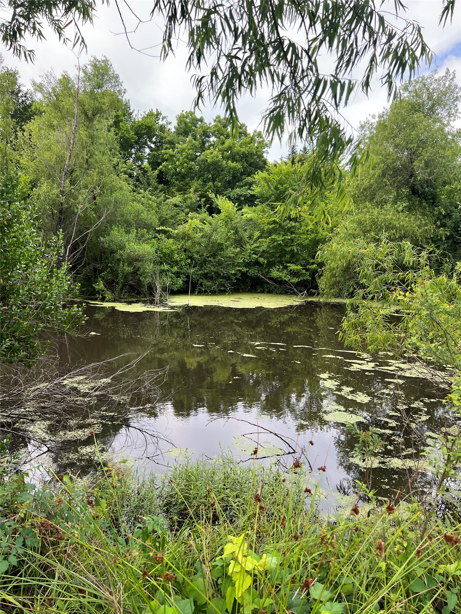 Tbd County Road 4578 Sulphur Springs TX 75482