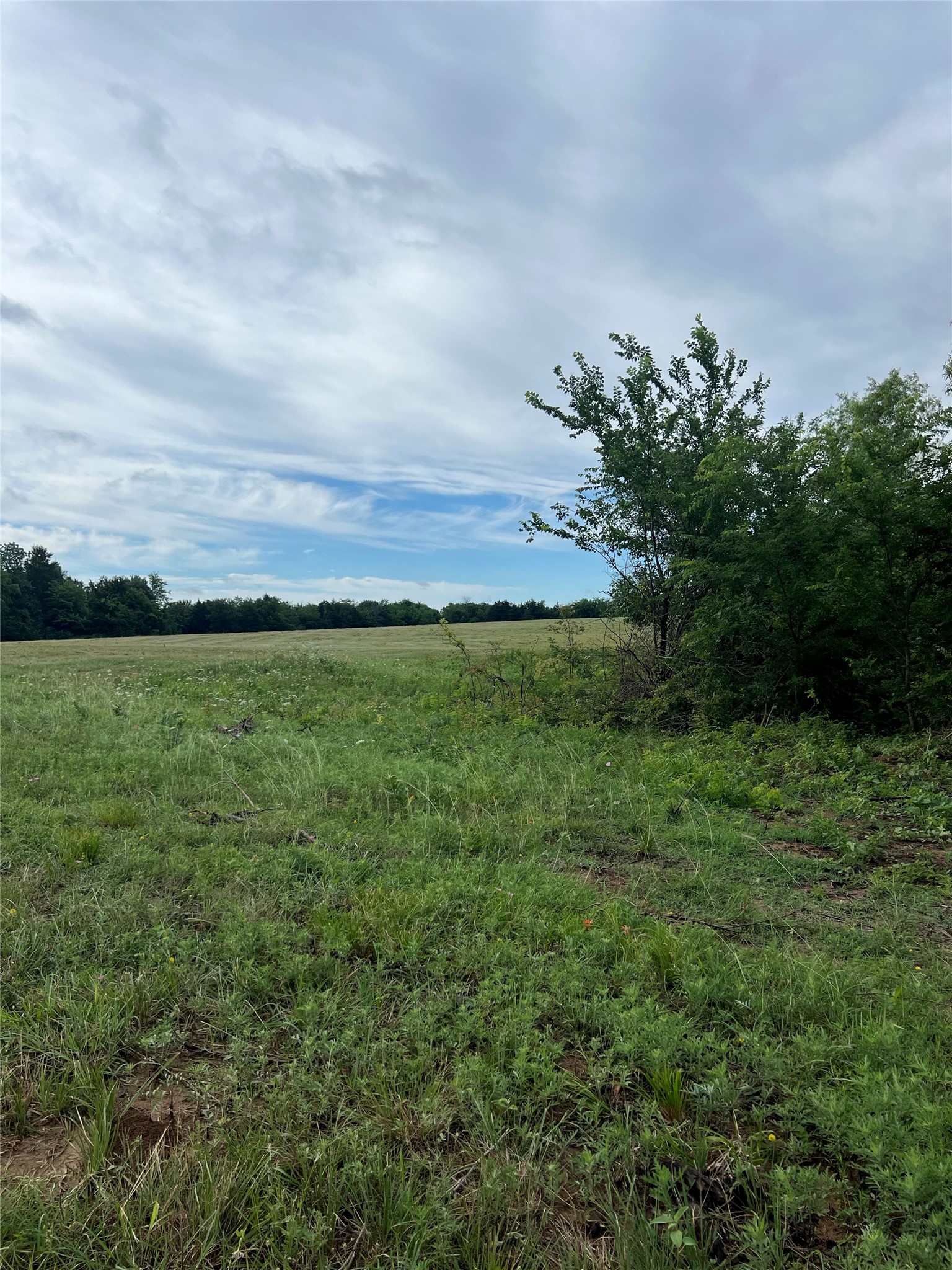 Tbd County Road 4578 Sulphur Springs TX 75482
