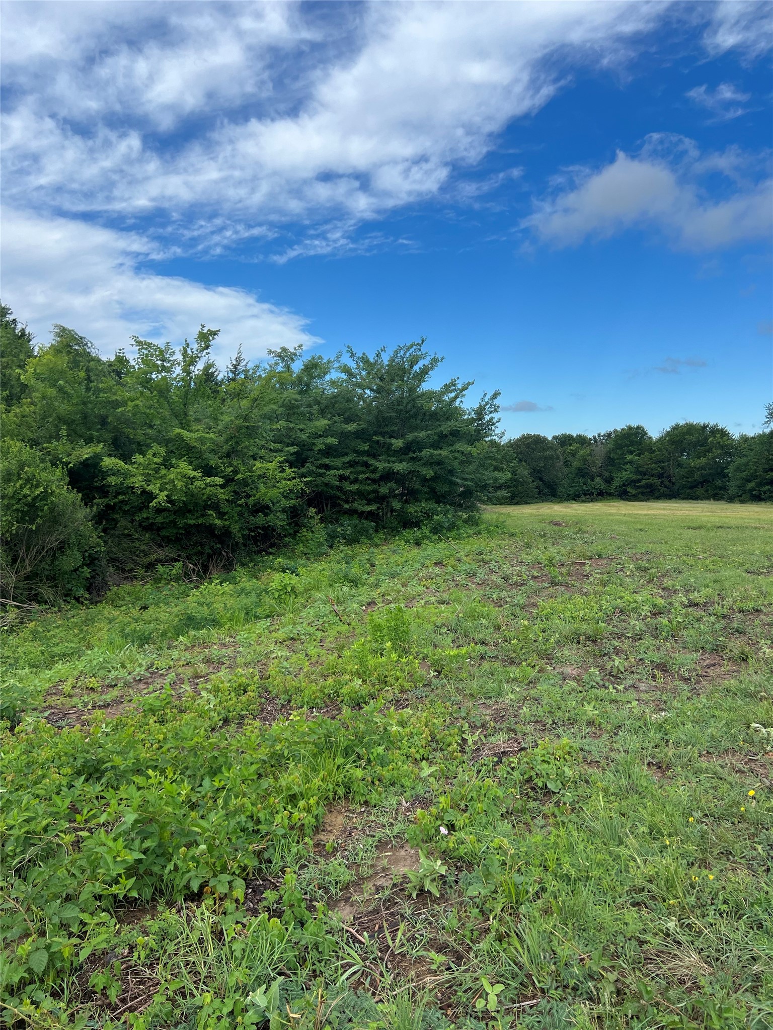 Tbd County Road 4578 Sulphur Springs TX 75482