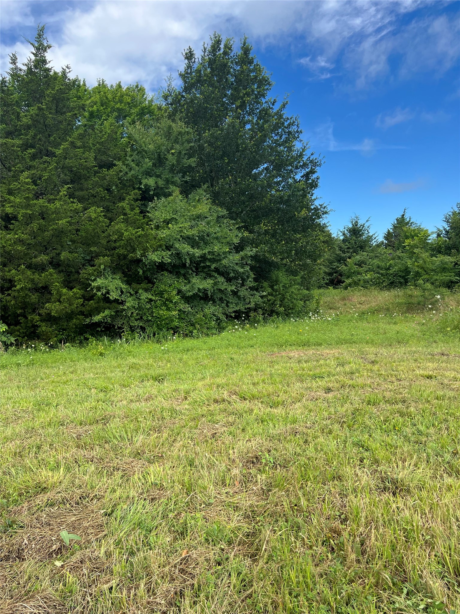 Tbd County Road 4578 Sulphur Springs TX 75482