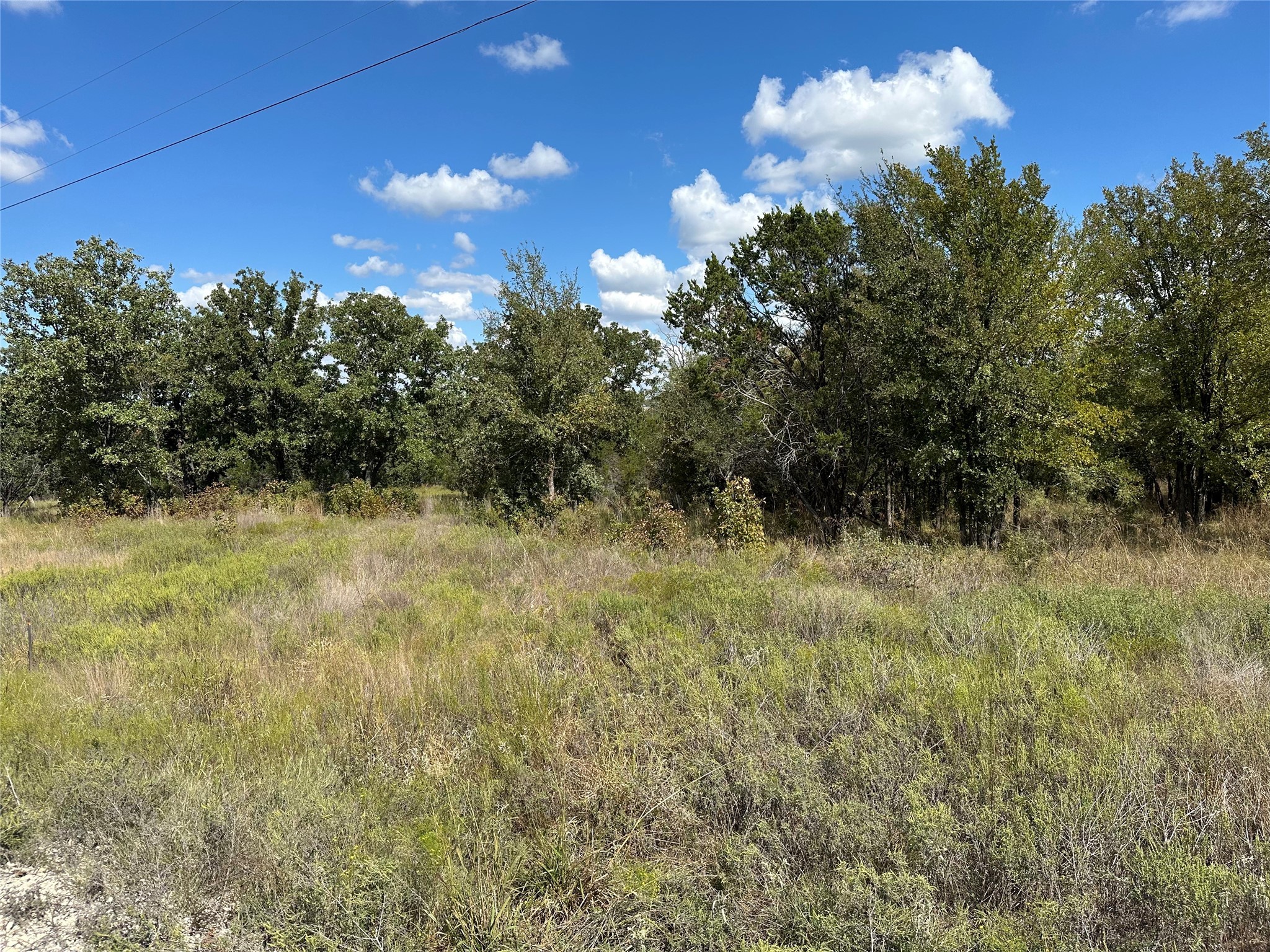 1020 Rose Court Nemo TX 76070