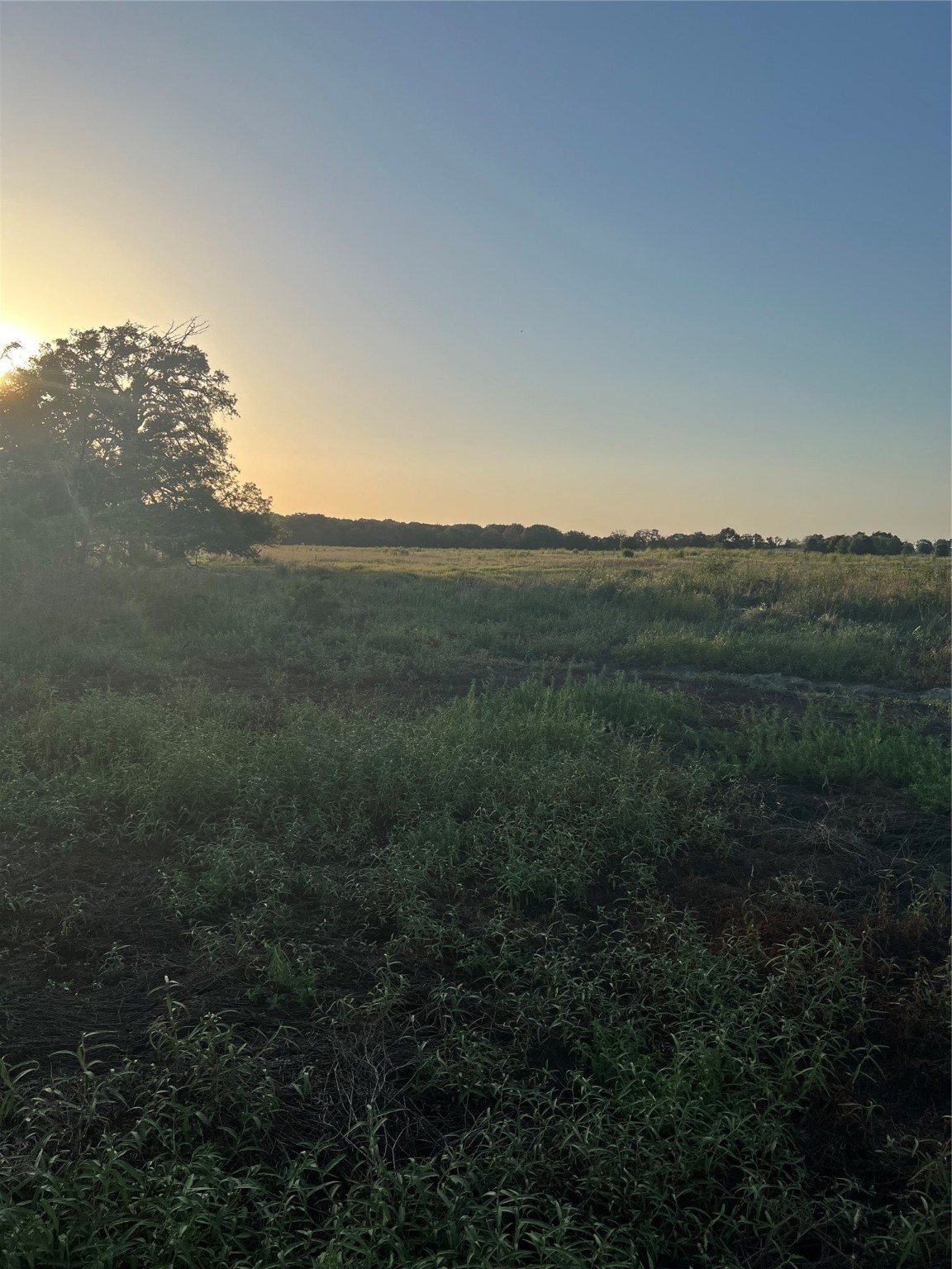 527 County Road 3351 Saltillo TX 75478