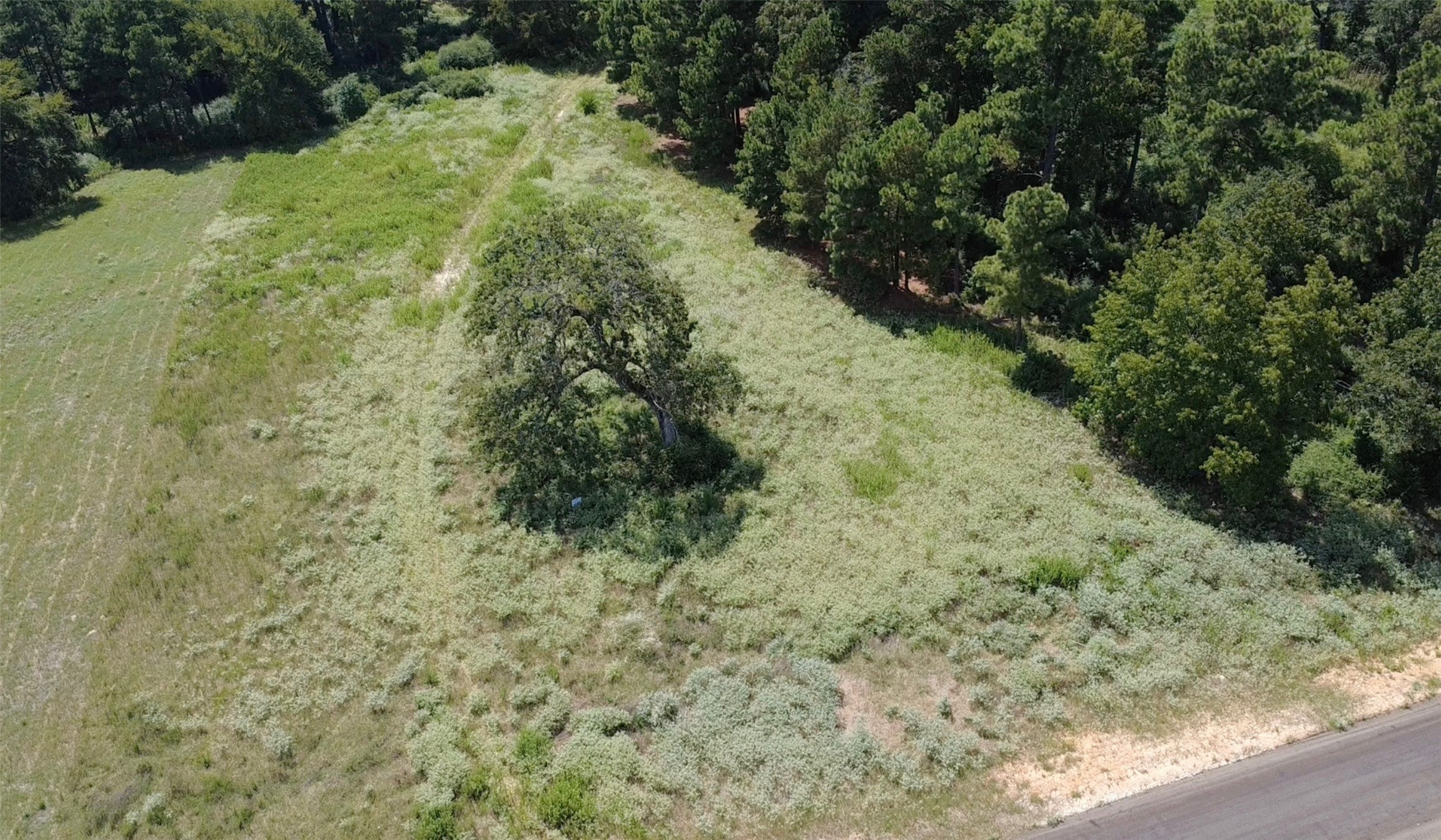 Trail 108 Pr 1314 Centerville TX 75833