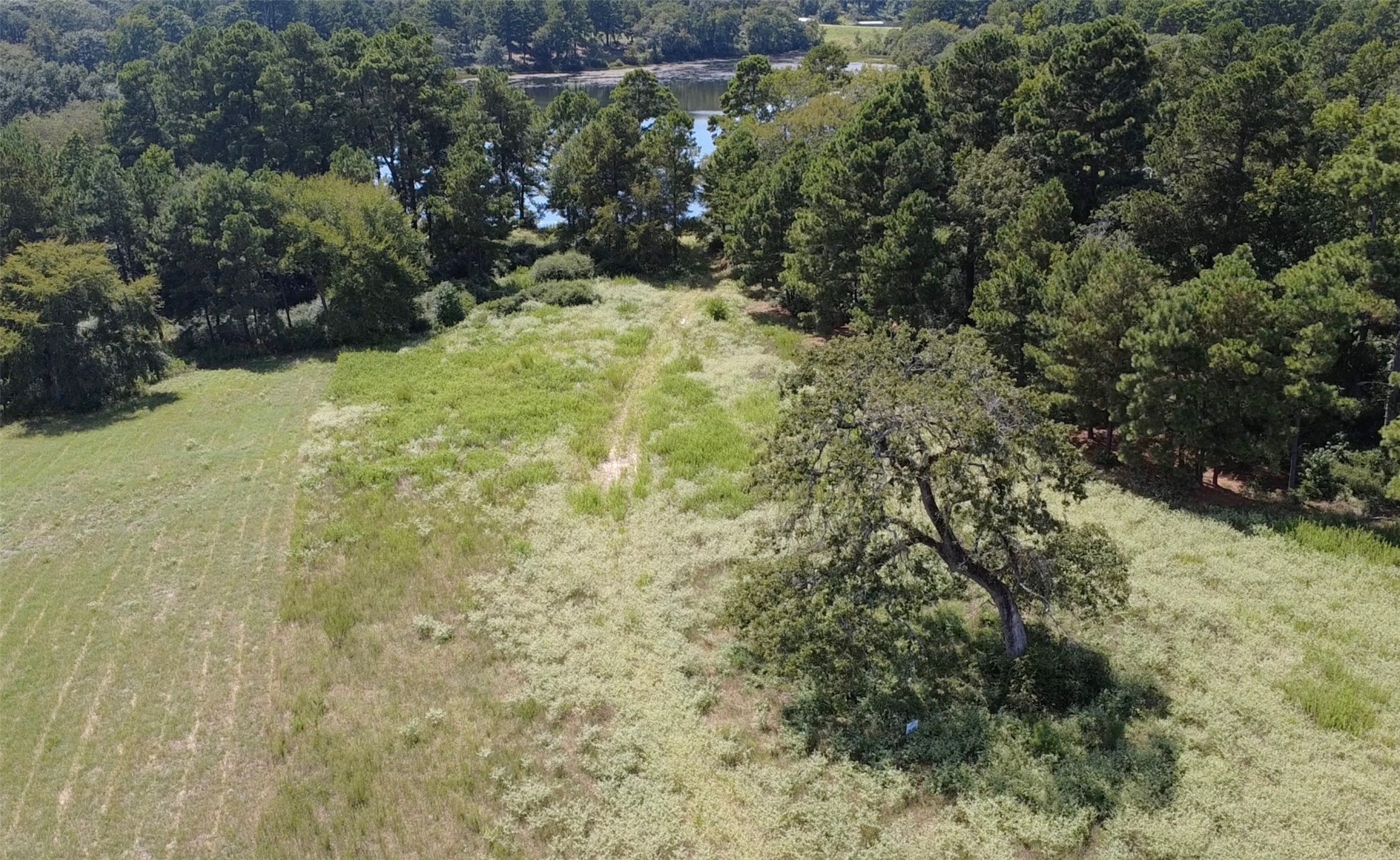 Trail 108 Pr 1314 Centerville TX 75833