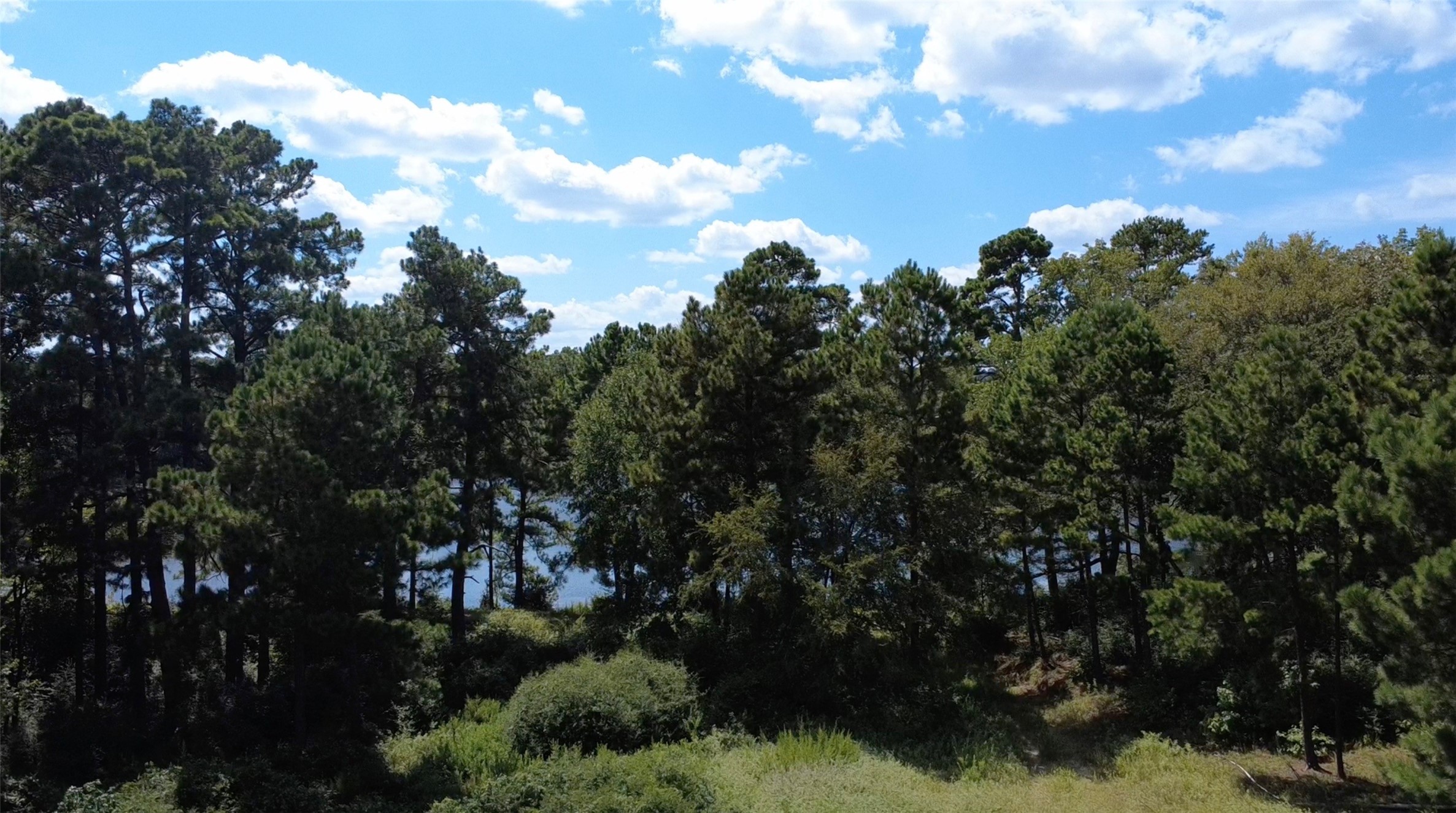 Trail 108 Pr 1314 Centerville TX 75833