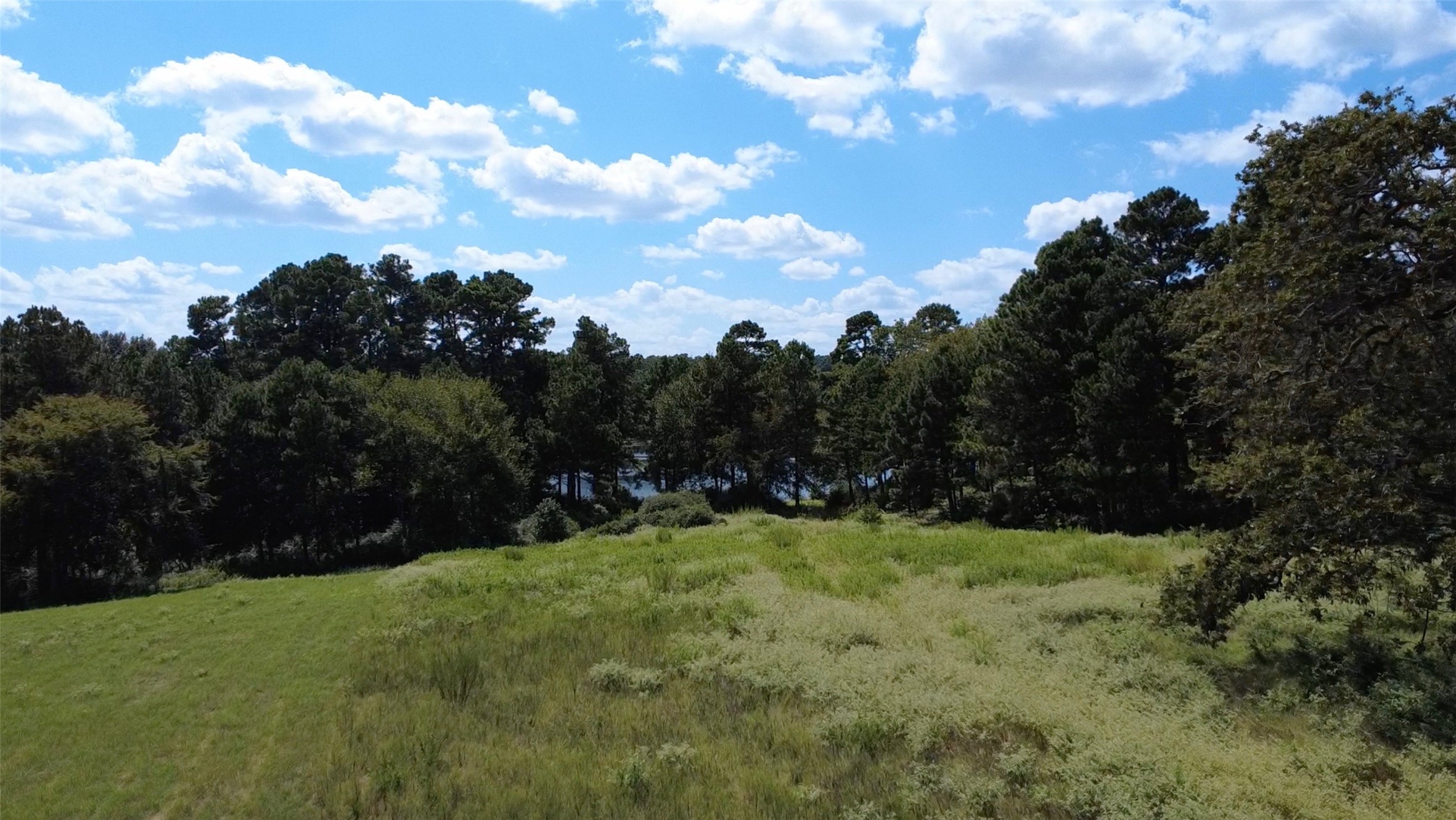 Trail 108 Pr 1314 Centerville TX 75833