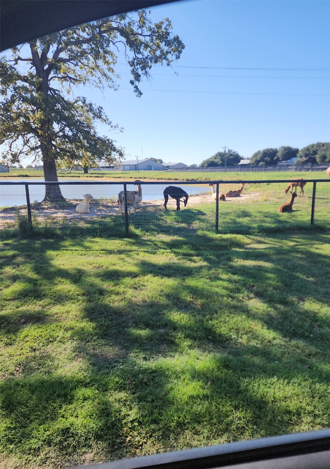 Trail 108 Pr 1314 Centerville TX 75833