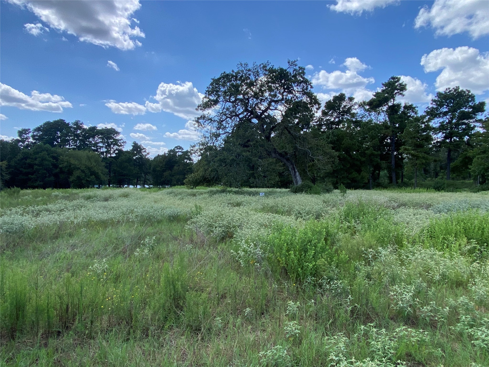 Trail 108 Pr 1314 Centerville TX 75833