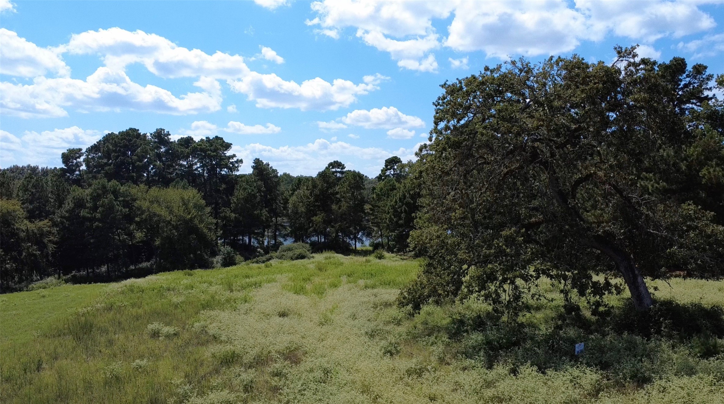Trail 108 Pr 1314 Centerville TX 75833