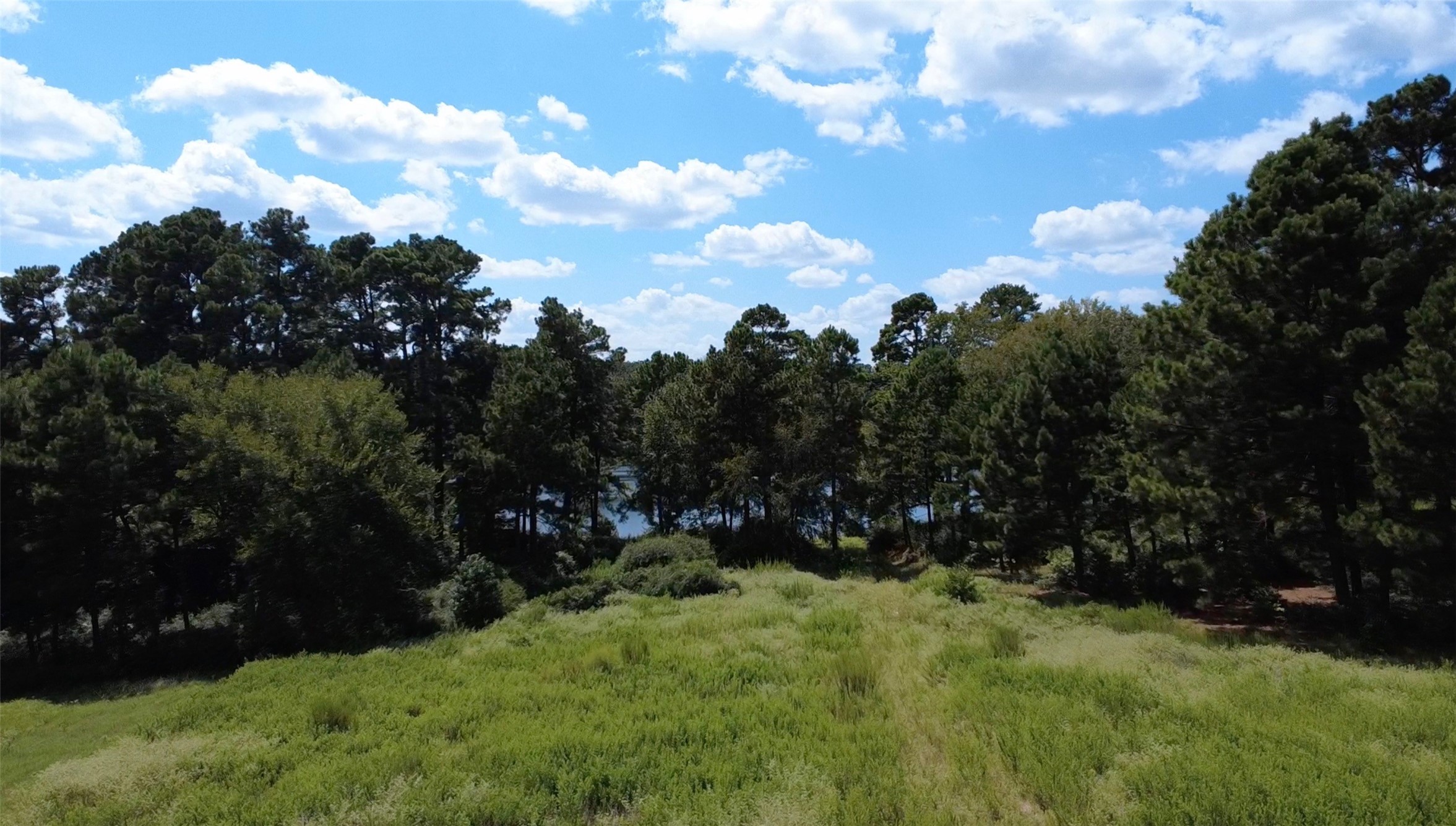 Trail 108 Pr 1314 Centerville TX 75833