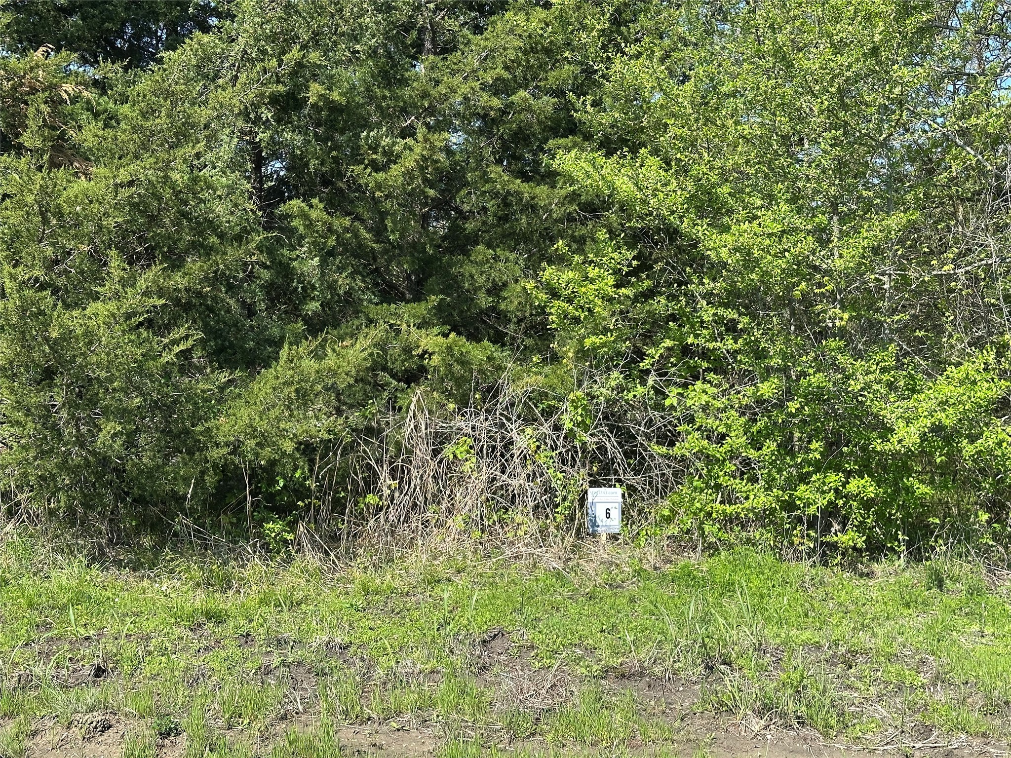 Tract 6 Farm To Market 1743 Honey Grove TX 75446