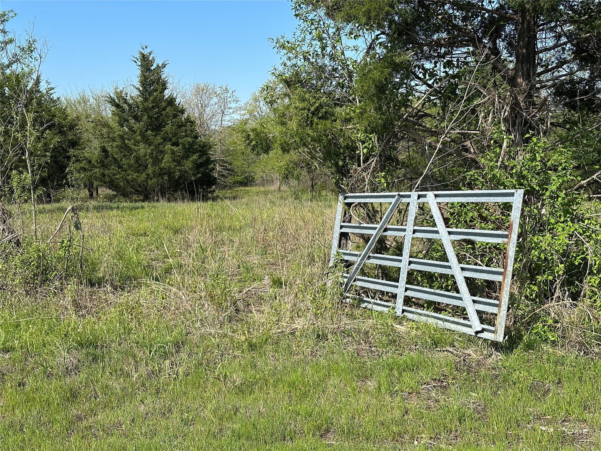 Tract 6 Farm To Market 1743 Honey Grove TX 75446