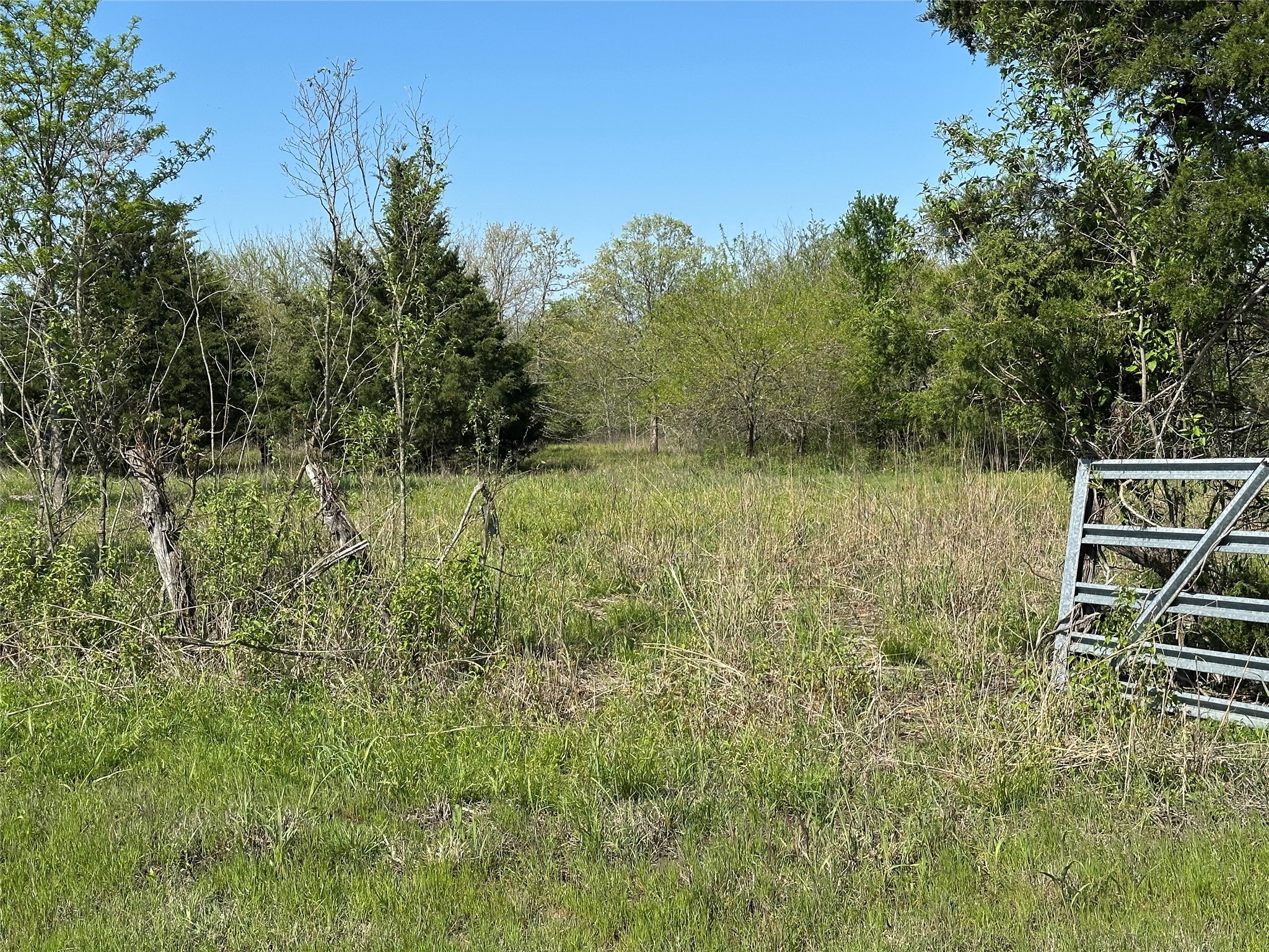 Tract 6 Farm To Market 1743 Honey Grove TX 75446