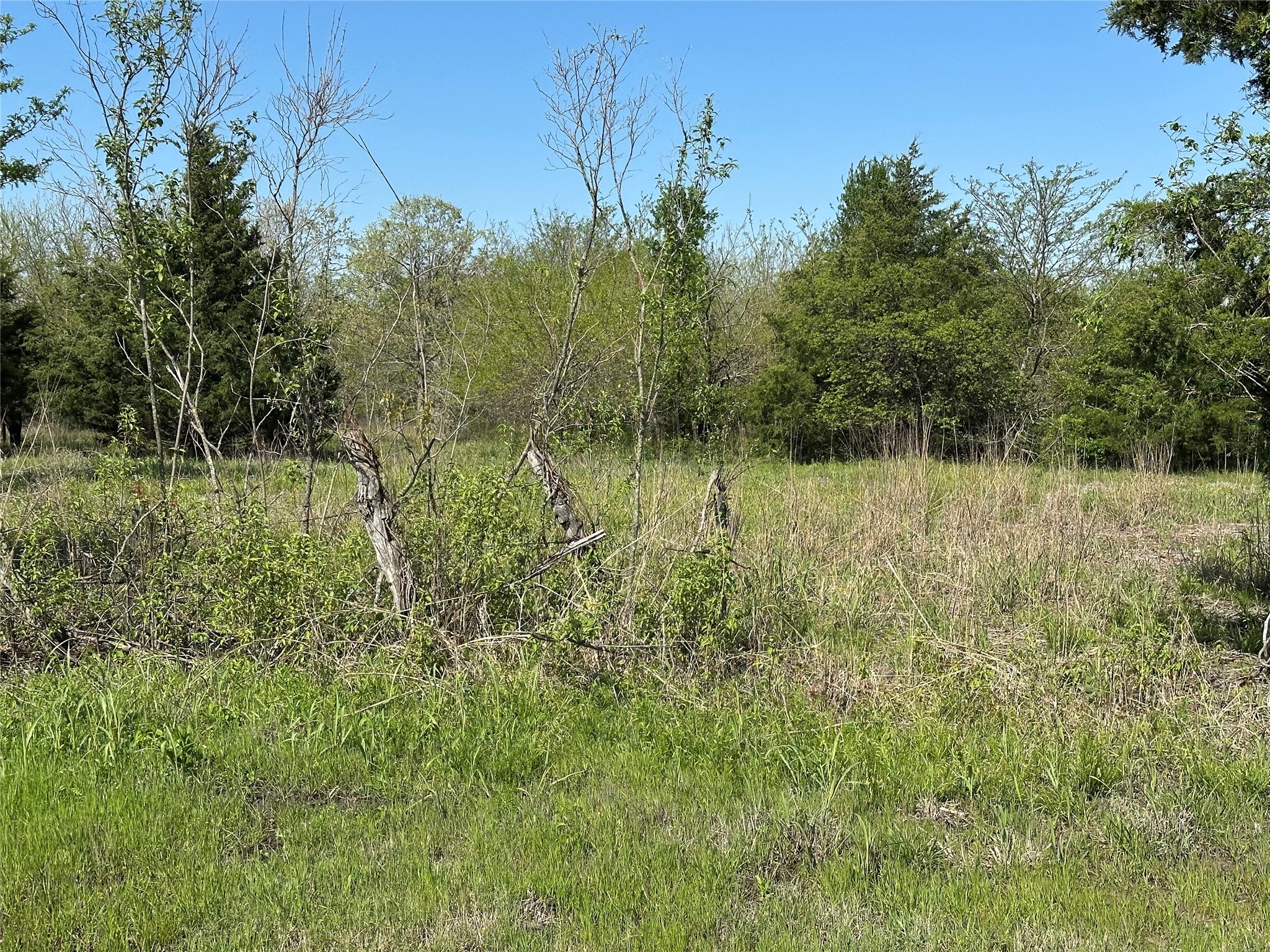 Tract 6 Farm To Market 1743 Honey Grove TX 75446