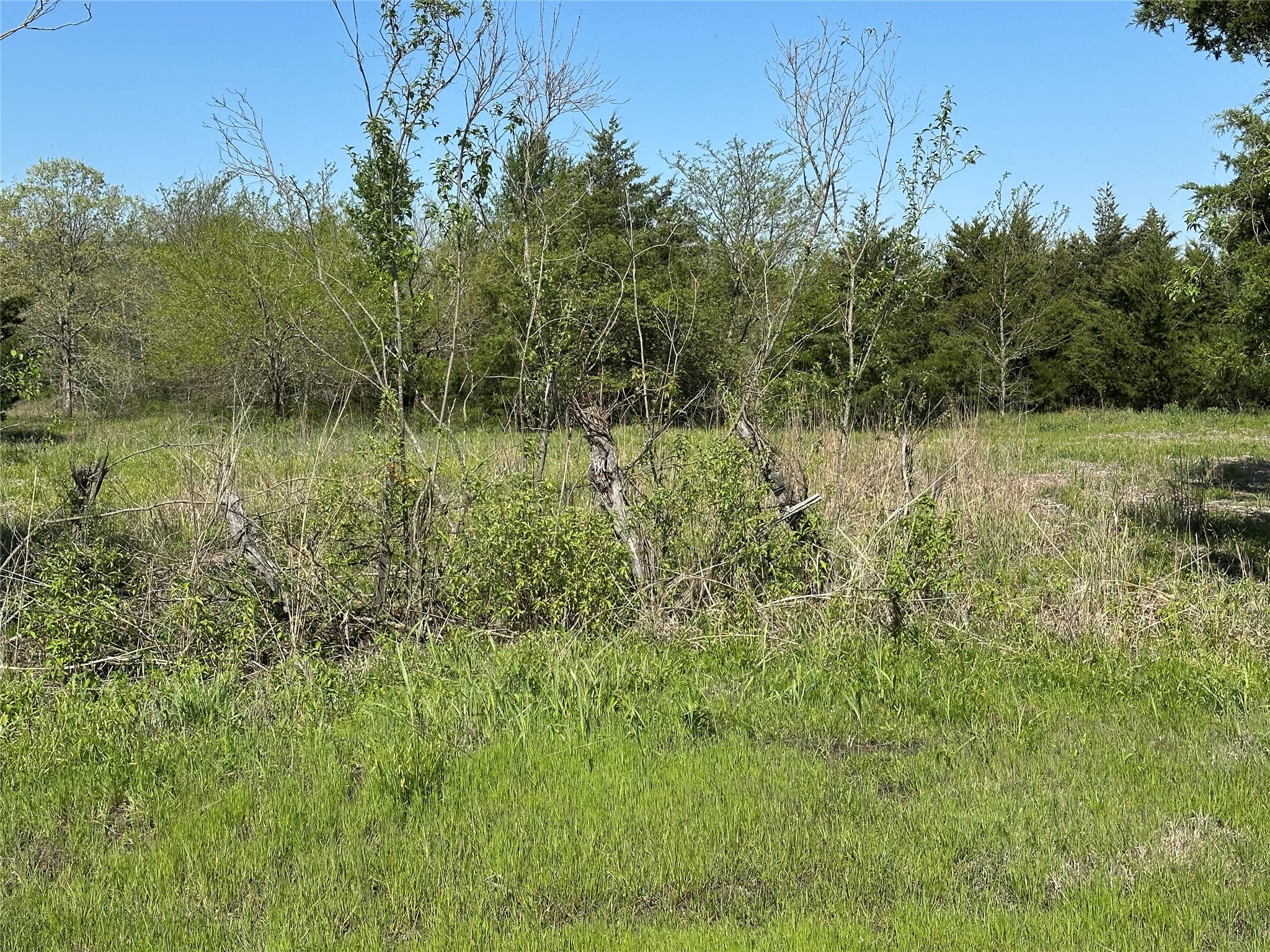 Tract 6 Farm To Market 1743 Honey Grove TX 75446