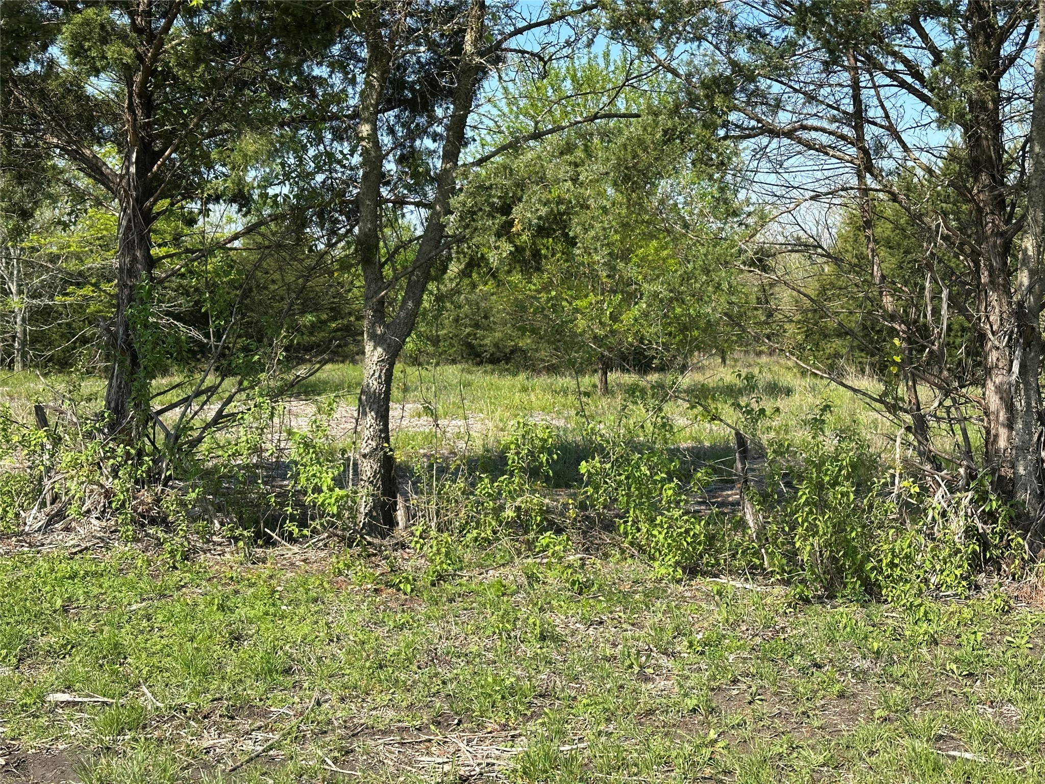 Tract 6 Farm To Market 1743 Honey Grove TX 75446