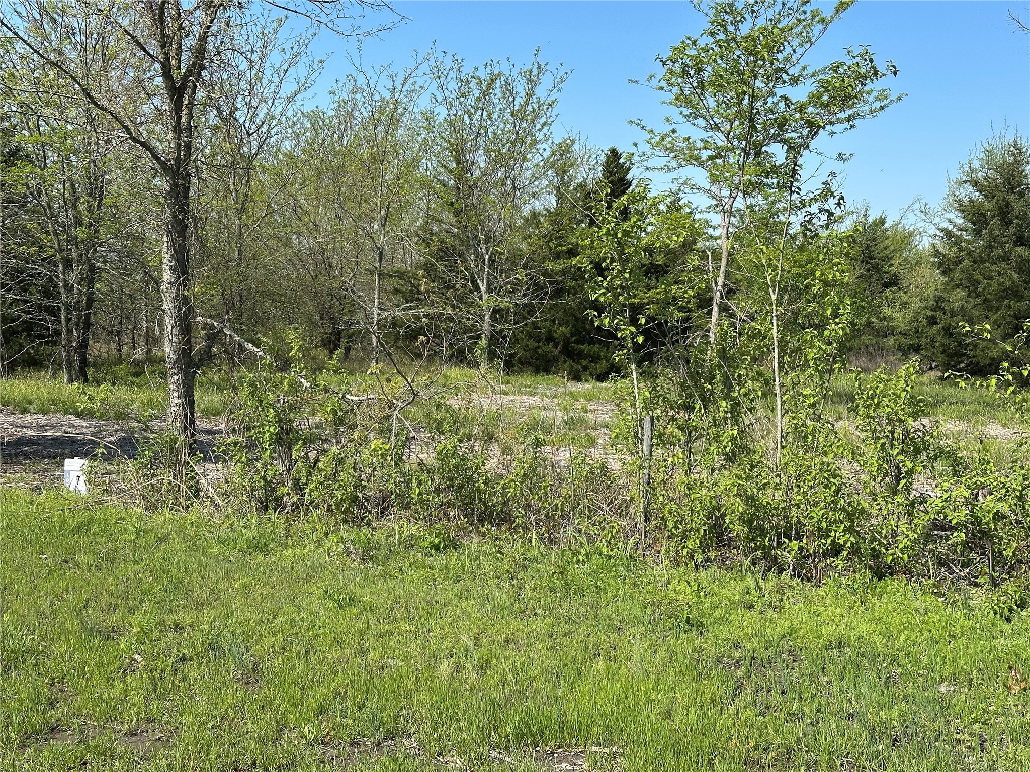 Tract 6 Farm To Market 1743 Honey Grove TX 75446