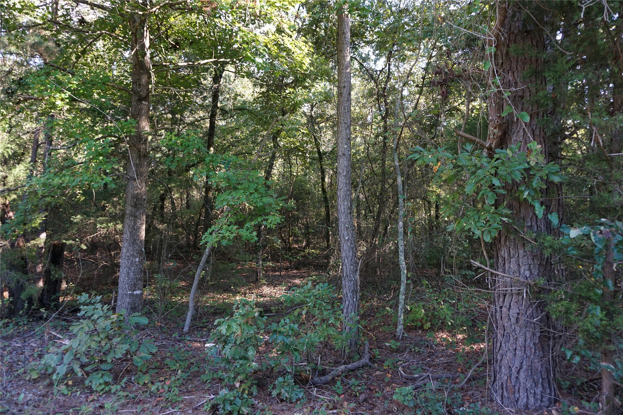 Tbd County Road 3847 Hawkins TX 75765