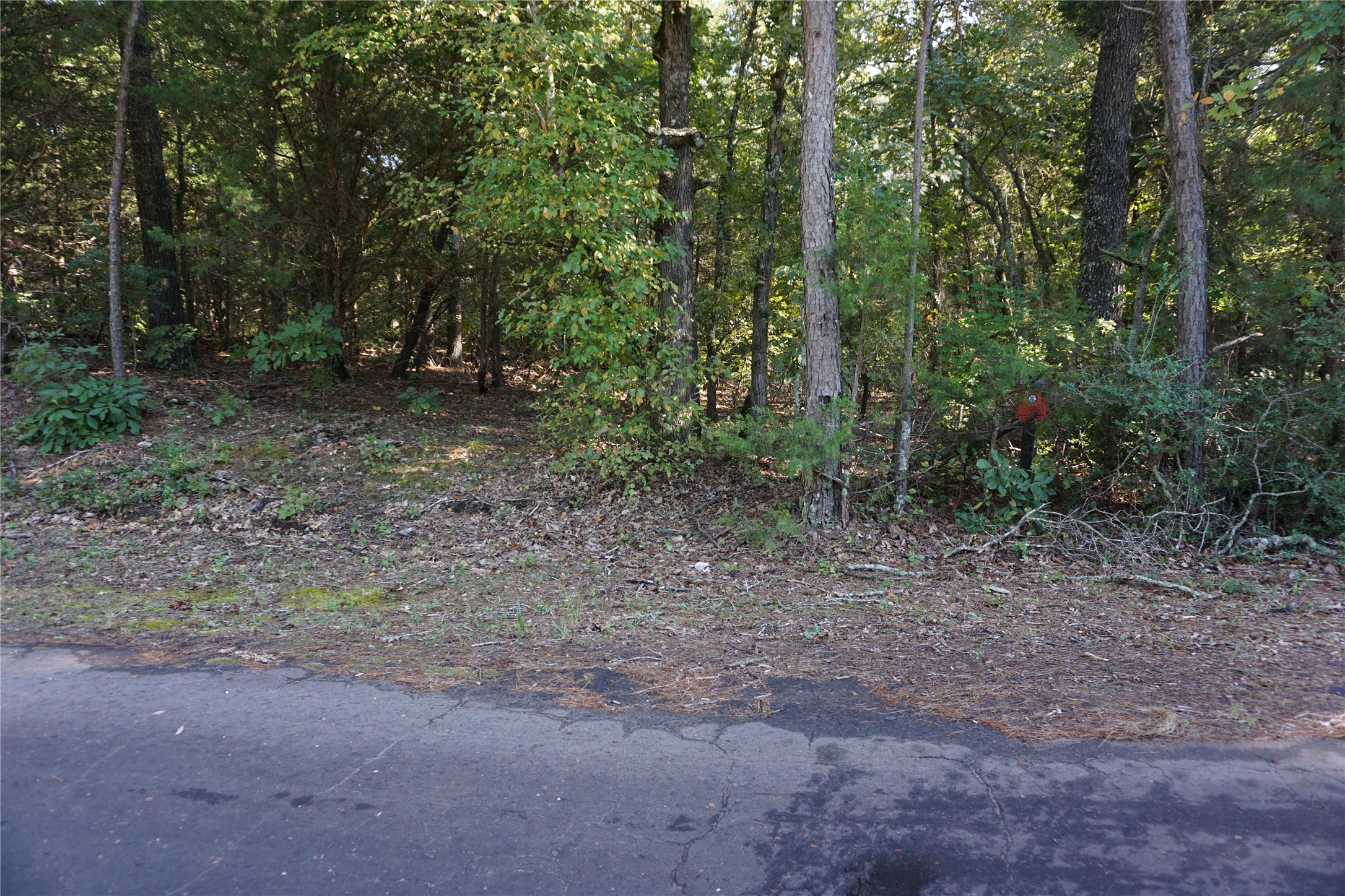 Tbd County Road 3847 Hawkins TX 75765