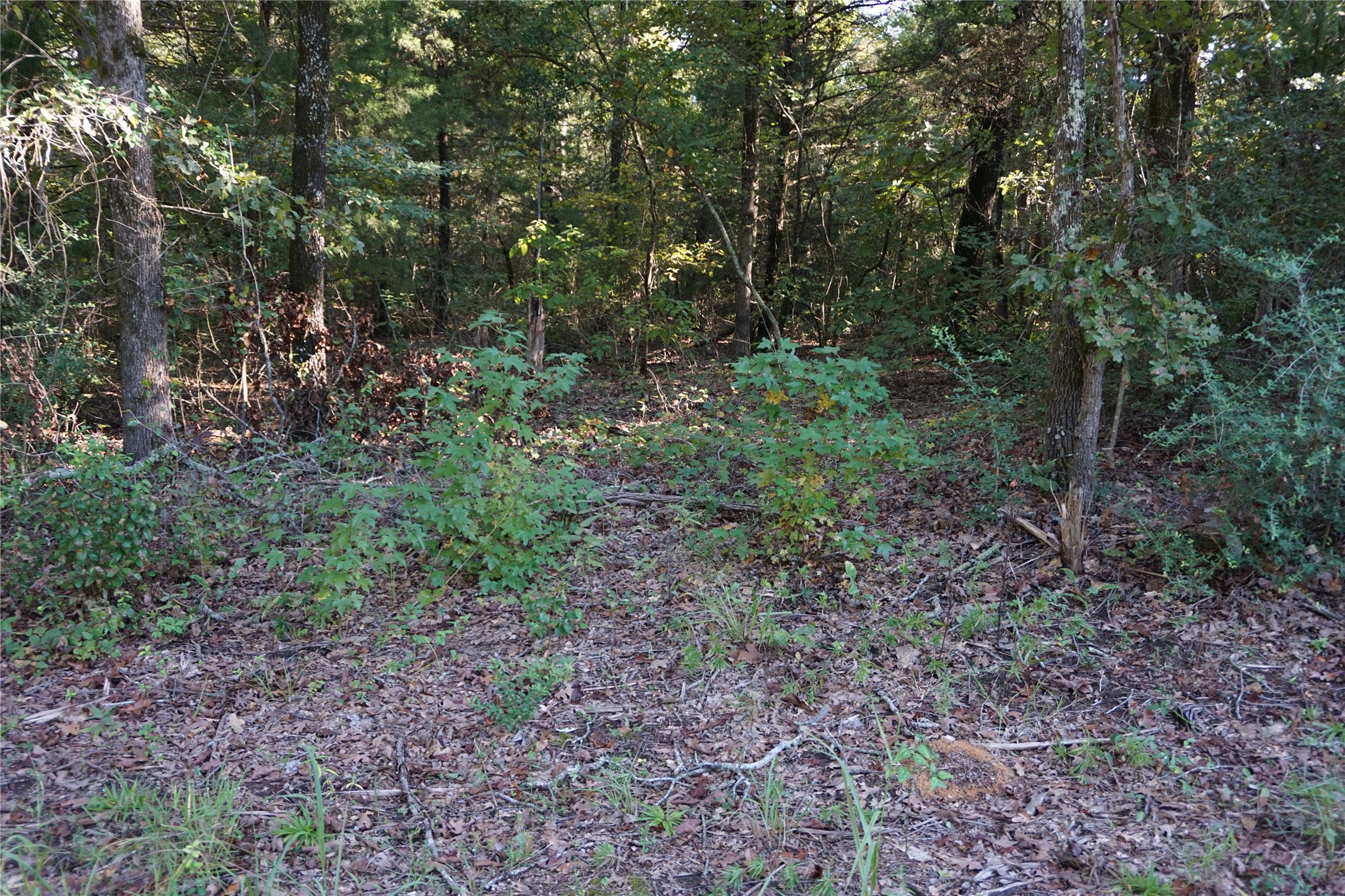 Tbd County Road 3847 Hawkins TX 75765