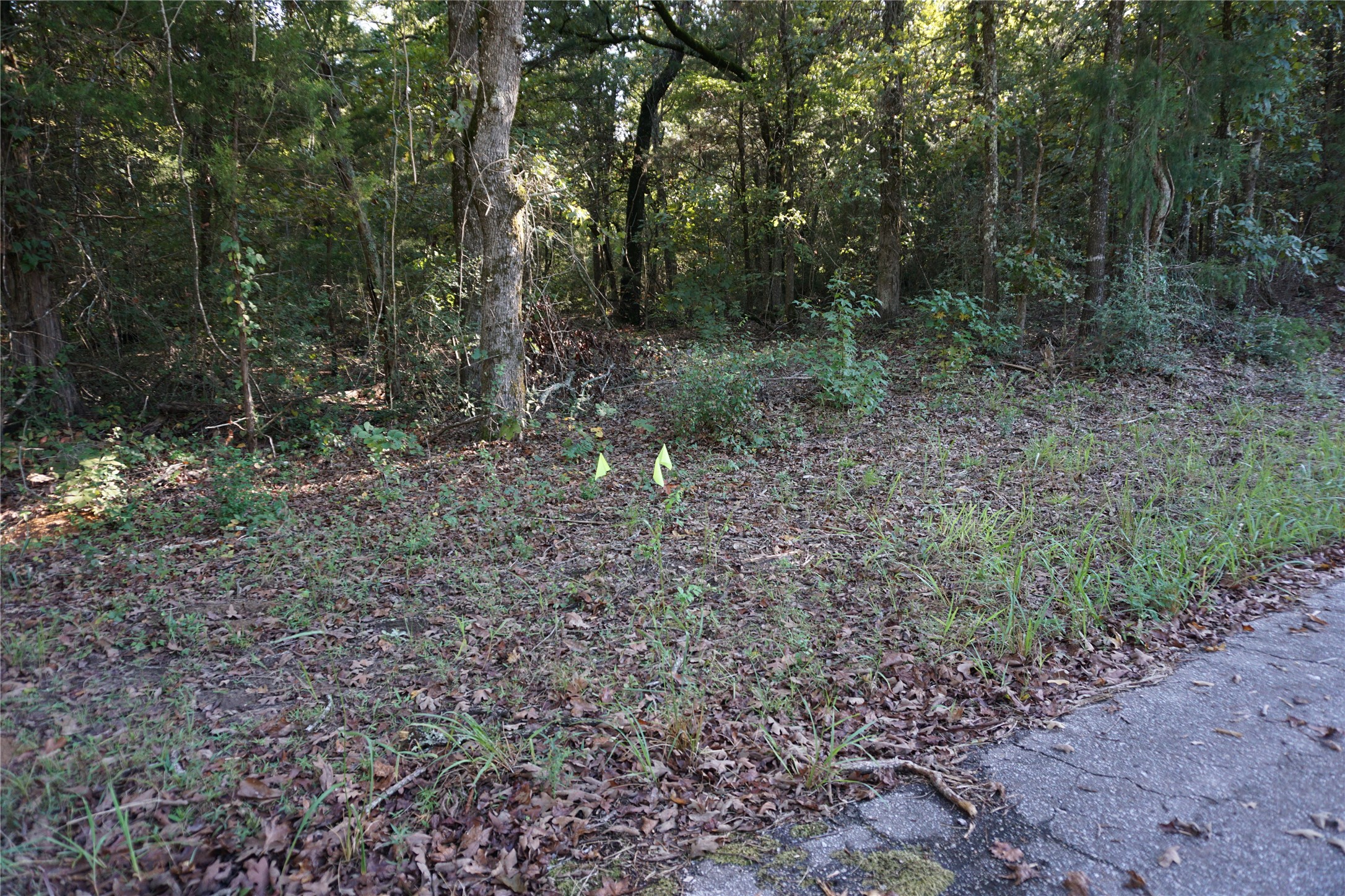 Tbd County Road 3847 Hawkins TX 75765