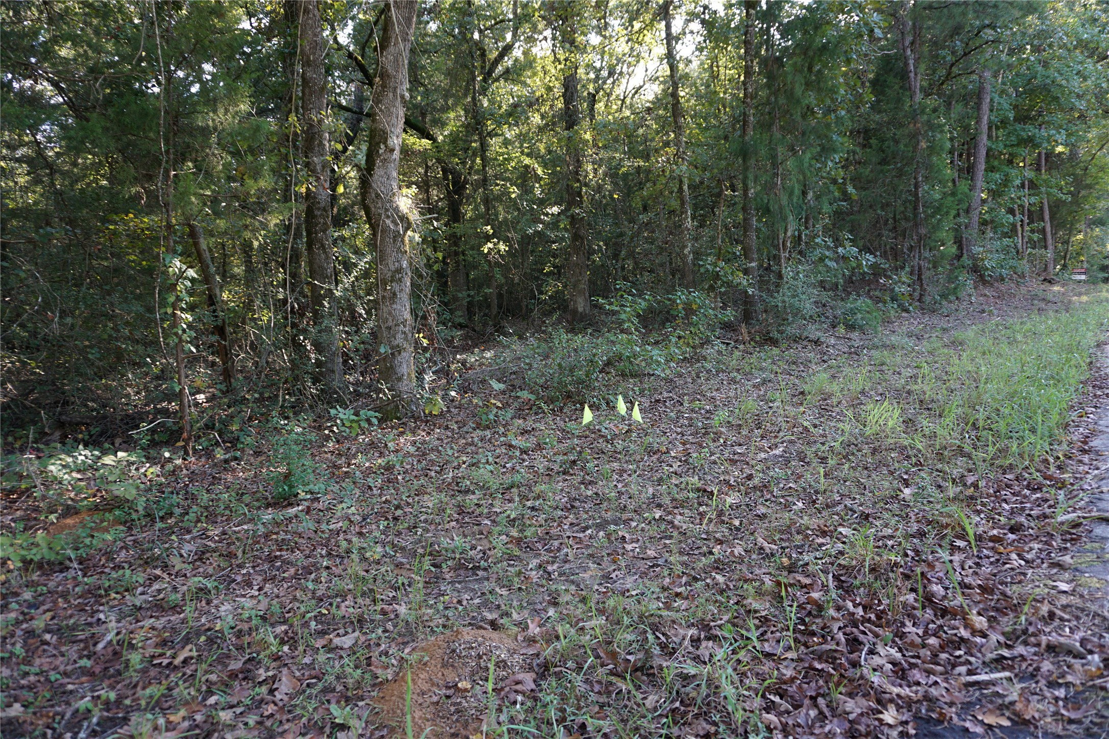 Tbd County Road 3847 Hawkins TX 75765