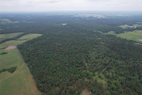 Tbd County Road 461 Laneville TX 75667