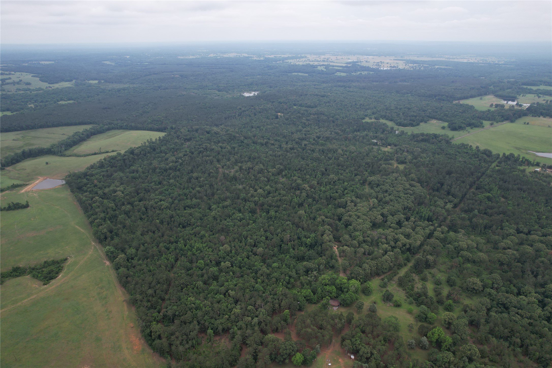 Tbd County Road 461 Laneville TX 75667