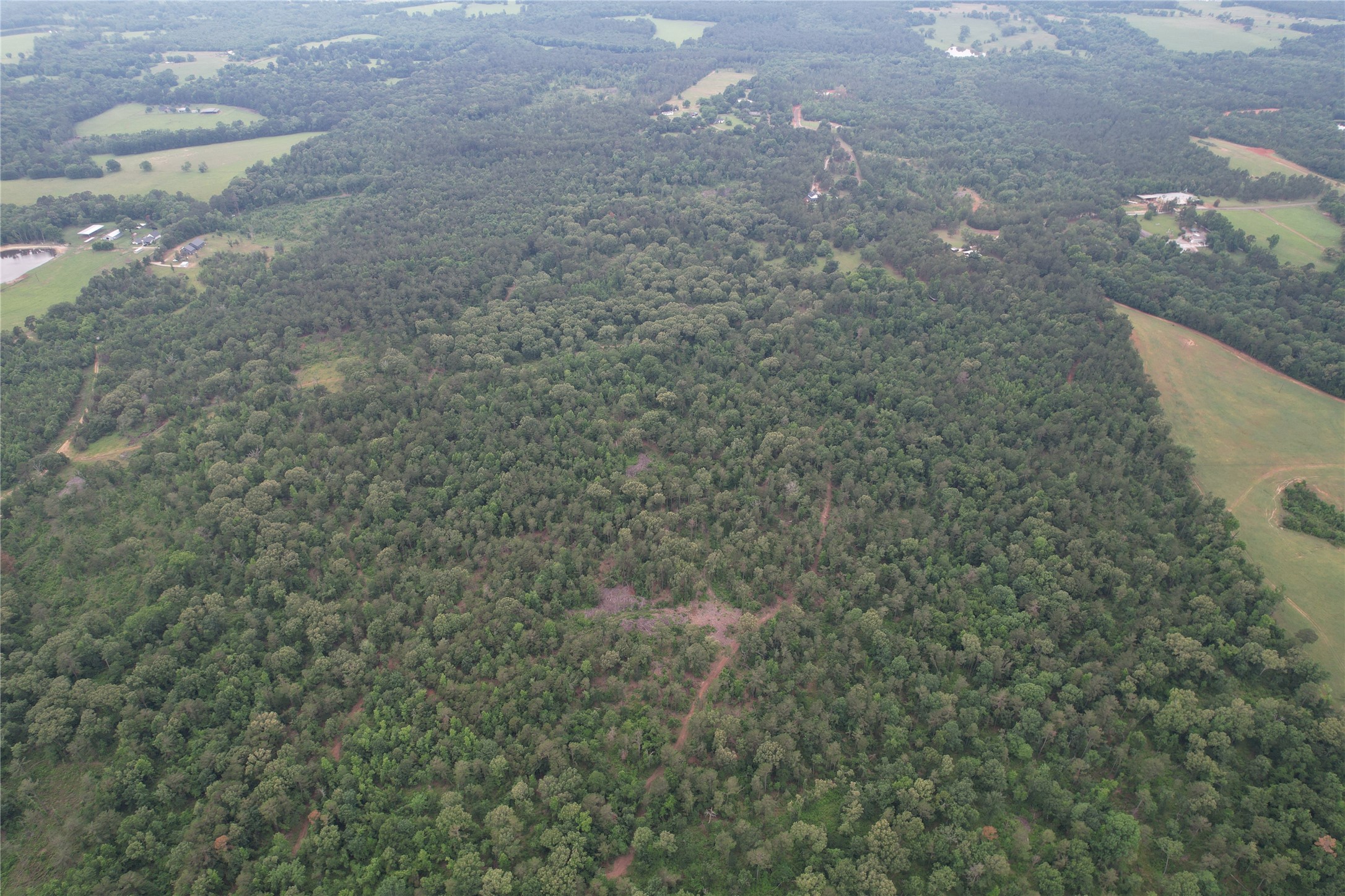 Tbd County Road 461 Laneville TX 75667