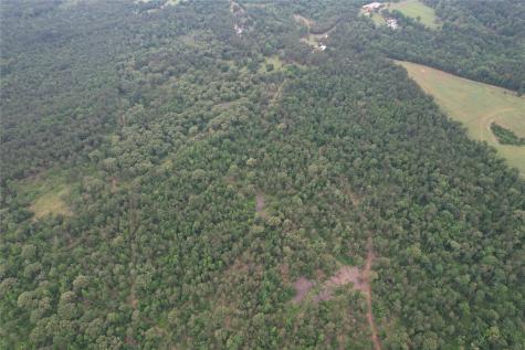 Tbd County Road 461 Laneville TX 75667