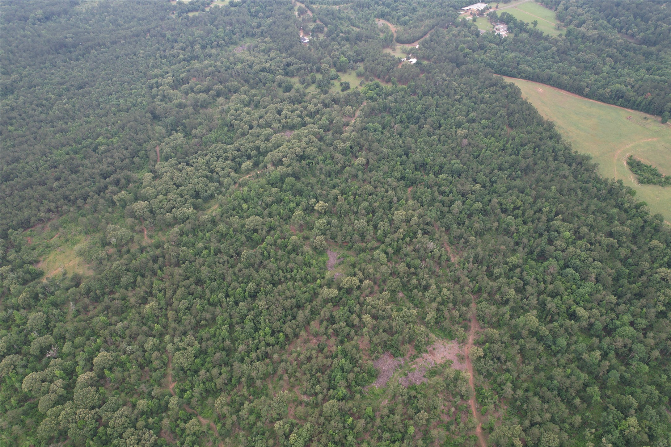 Tbd County Road 461 Laneville TX 75667