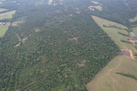 Tbd County Road 461 Laneville TX 75667
