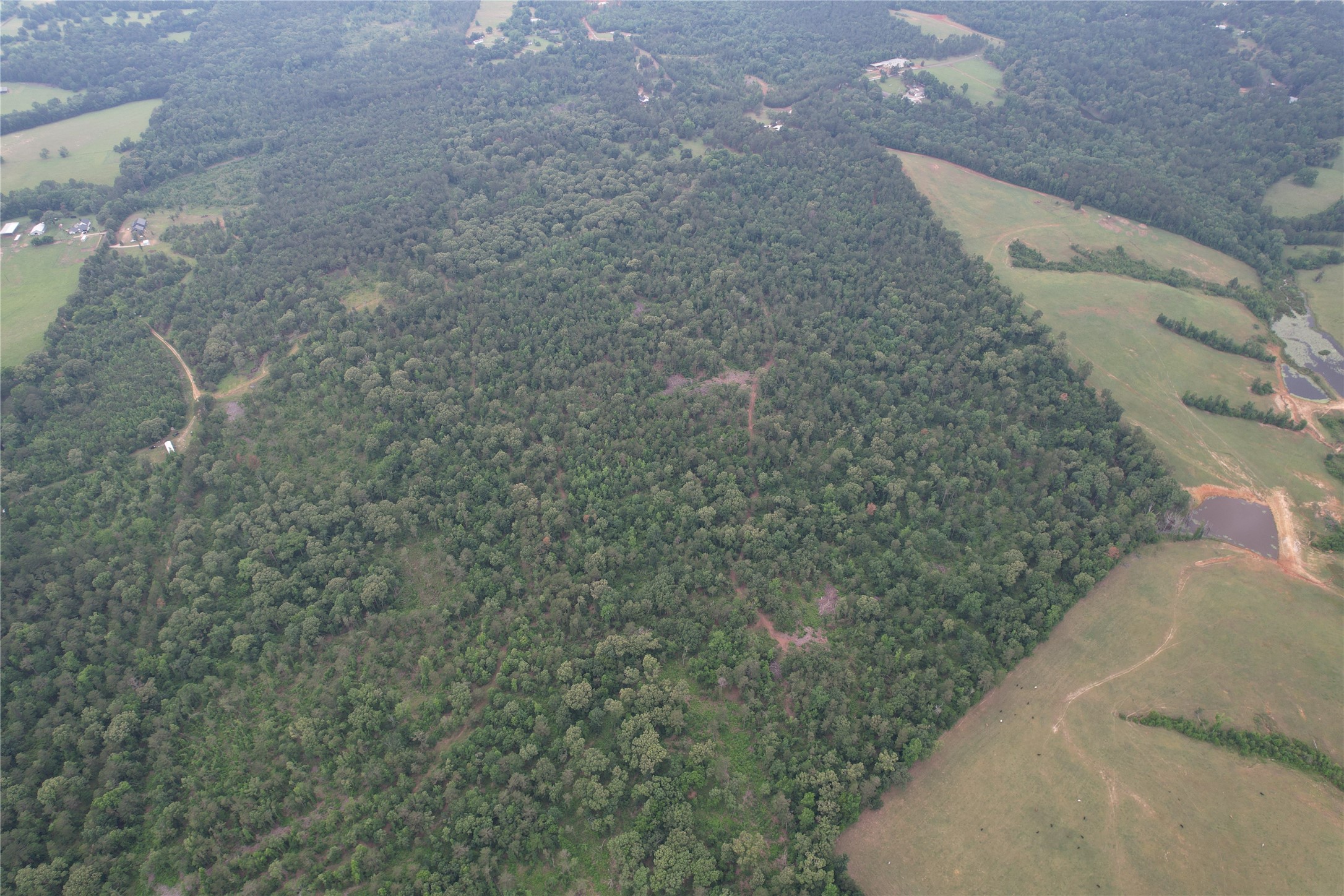 Tbd County Road 461 Laneville TX 75667