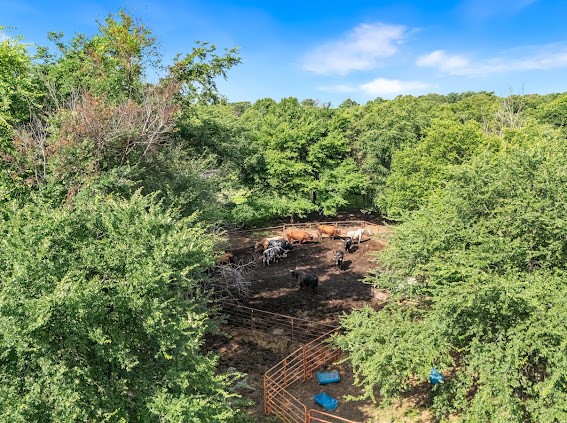 2151 County Road 113 Whitesboro TX 76273