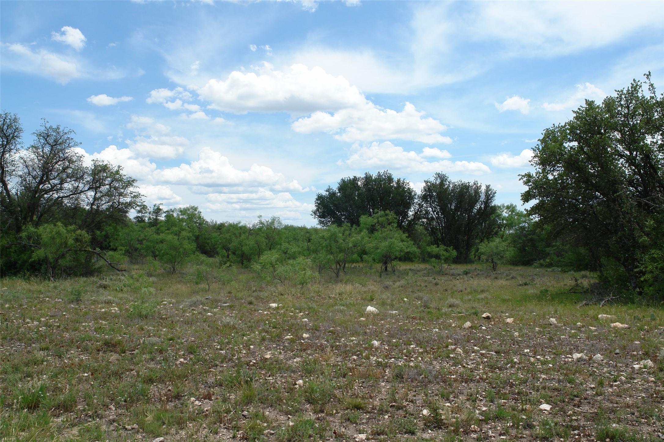 3135 Cr 4131 Eden TX 76837