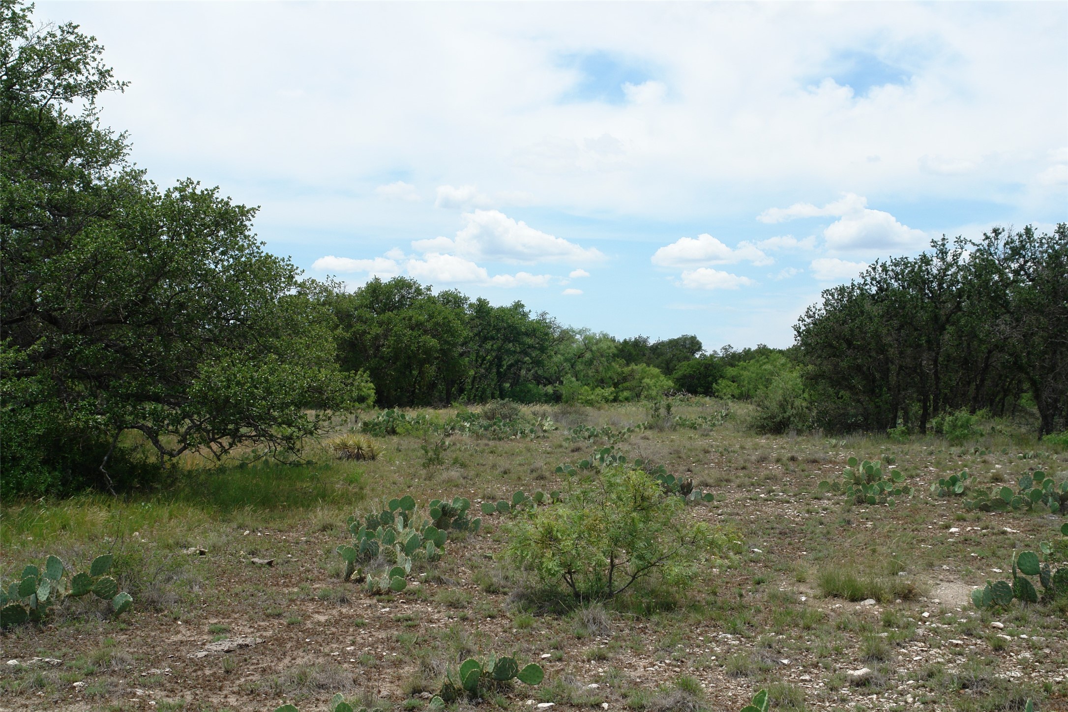 3135 Cr 4131 Eden TX 76837