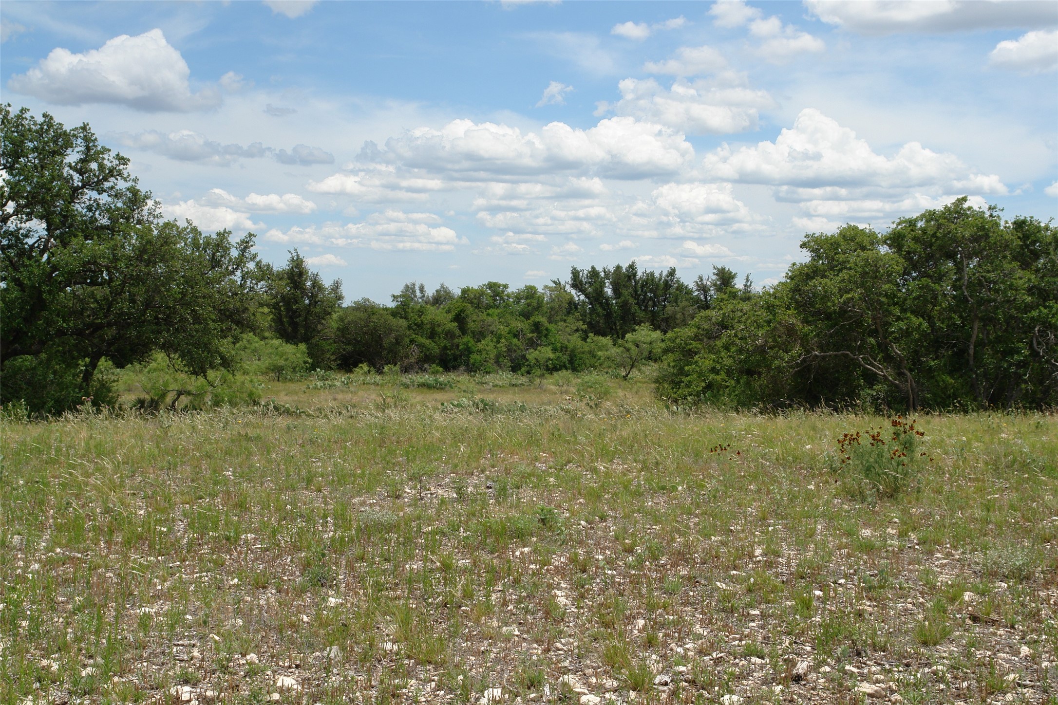 3135 Cr 4131 Eden TX 76837