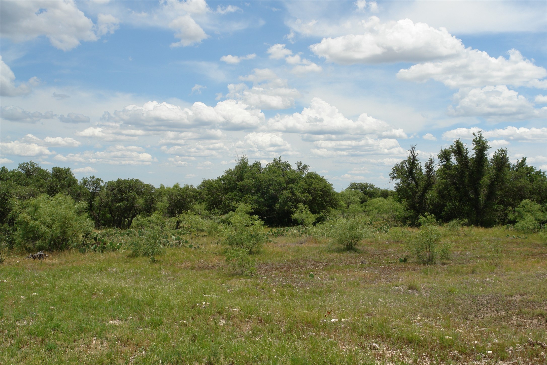 3135 Cr 4131 Eden TX 76837