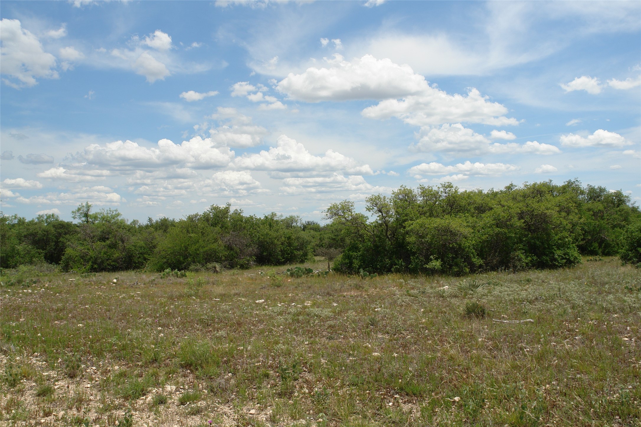 3135 Cr 4131 Eden TX 76837