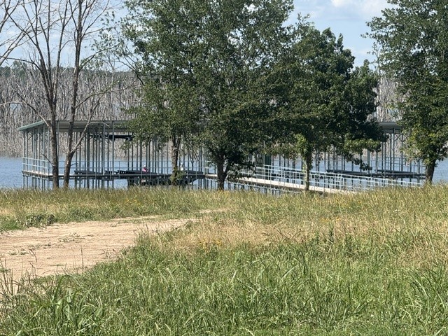 225 Admirals Court Dodd City TX 75438