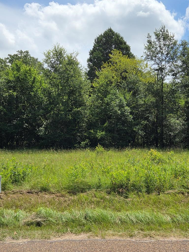 166 Deer Run Road Mabank TX 75156
