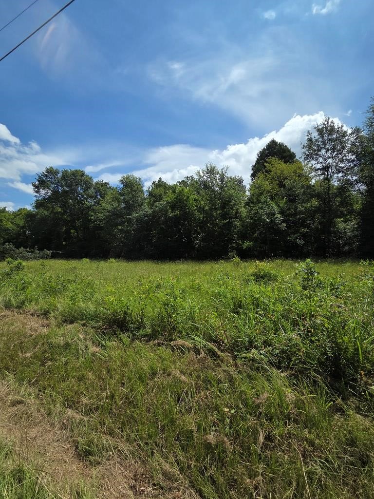 166 Deer Run Road Mabank TX 75156